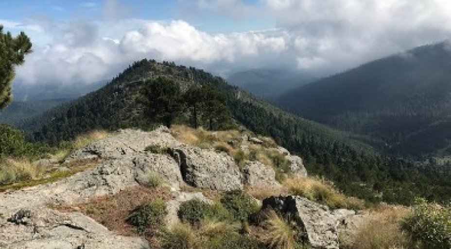 National Parks in Mexico