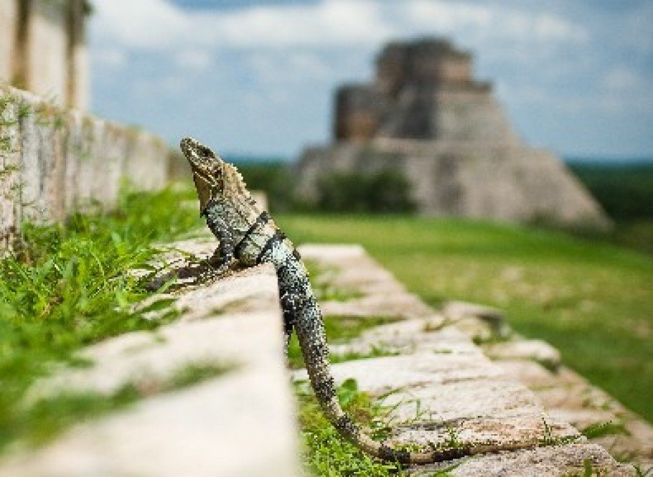 Where is the Riviera Maya