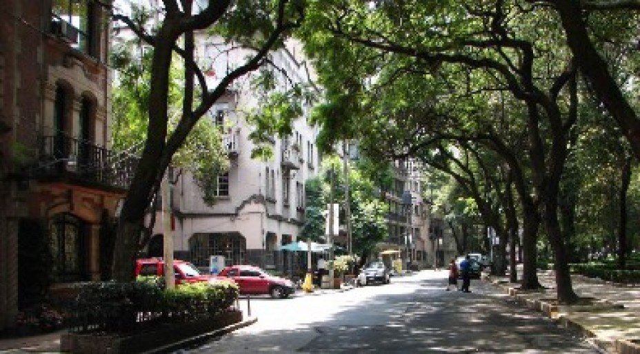 Things To Do In Mexico City