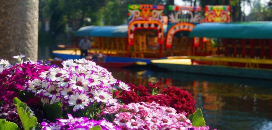 Things To Do In Mexico City