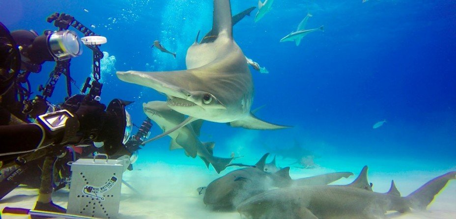 Lugares para Bucear y Esnórquel en el Caribe