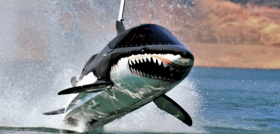 water activities in Cancun