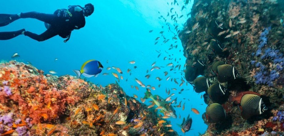 Lugares para Bucear y Esnórquel en el Caribe