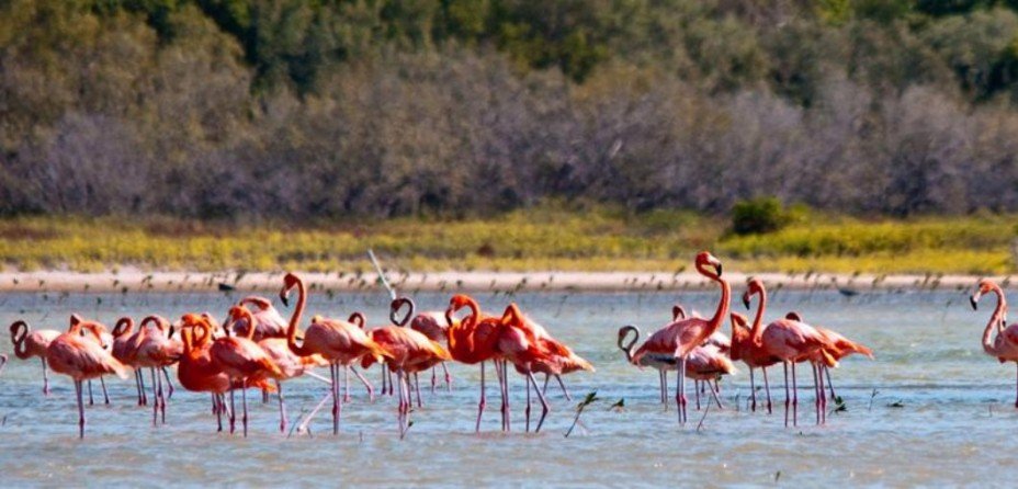 Things to do in the Dominican Republic