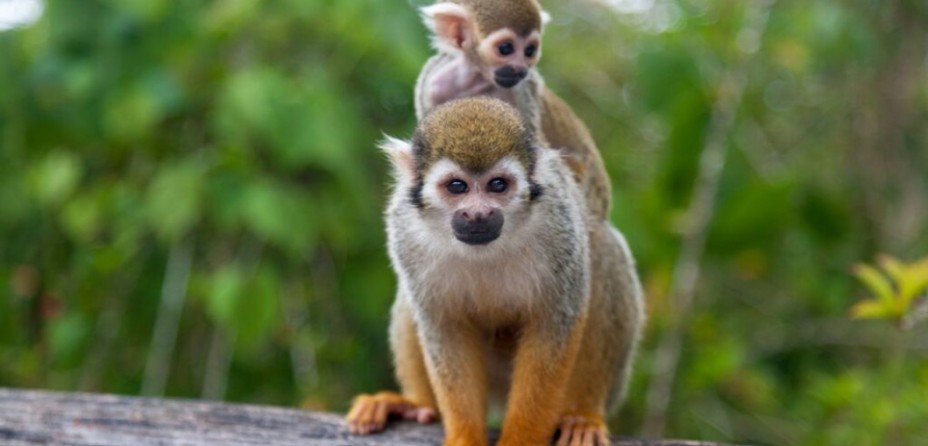 Things to do in the Dominican Republic