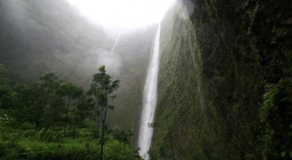 The Great Outdoors: Hiking Routes in Hawaii