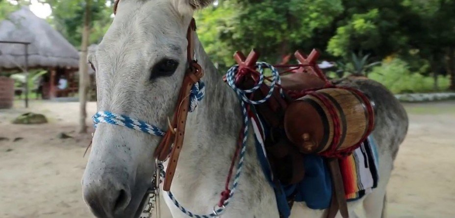 Adventure Lover Activities in and Around Cancun