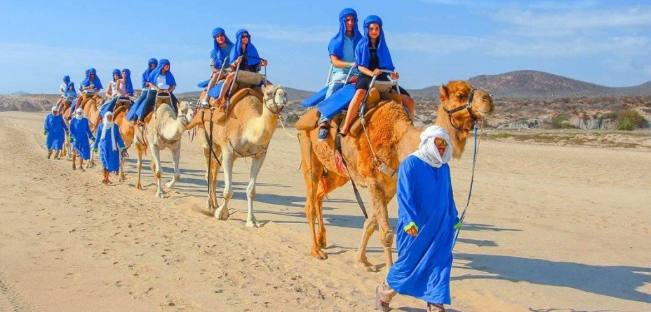 A Guide to Adventure in Baja California