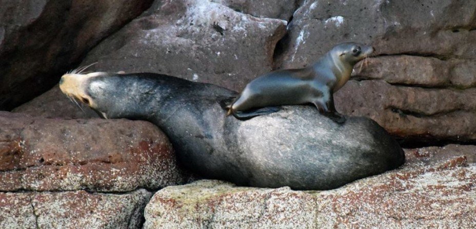 A Guide to Adventure in Baja California